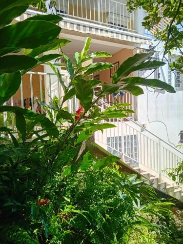 Appartement charmant en centre ville de Sainte Luce 80 m vue — 4-Star Luxury Hotel in Sainte-Luce, Martinique