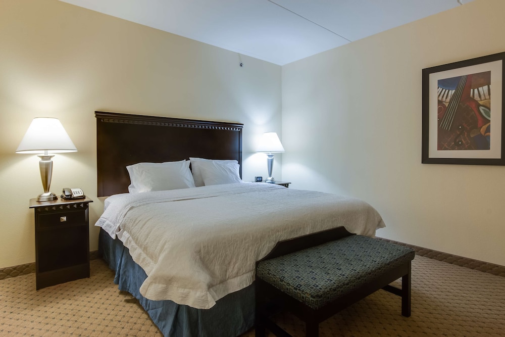 Hampton Inn & Suites Mt. Juliet - photo 17