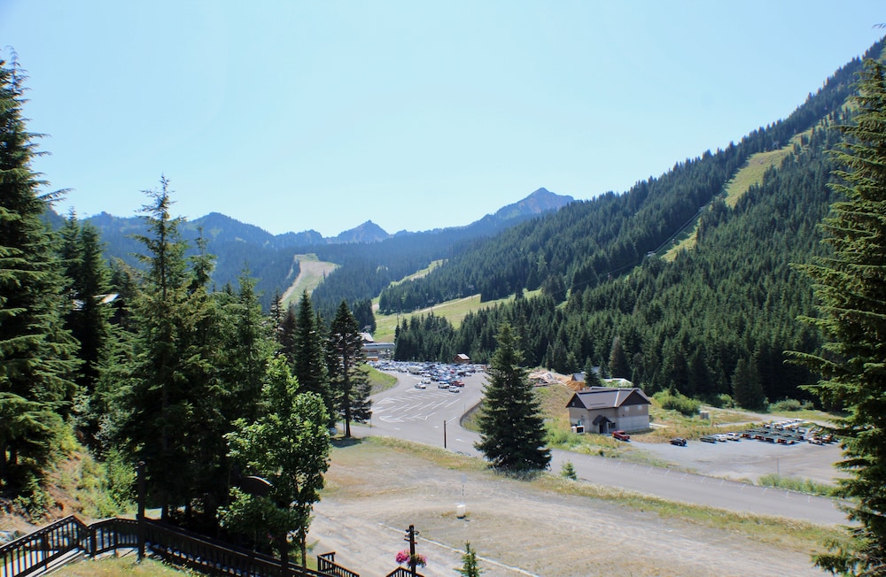 Crystal Chalets Condominiums at Crystal Mountain Ski Resort - photo 181