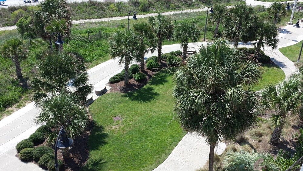 Bermuda Sands on the Boardwalk - photo 4