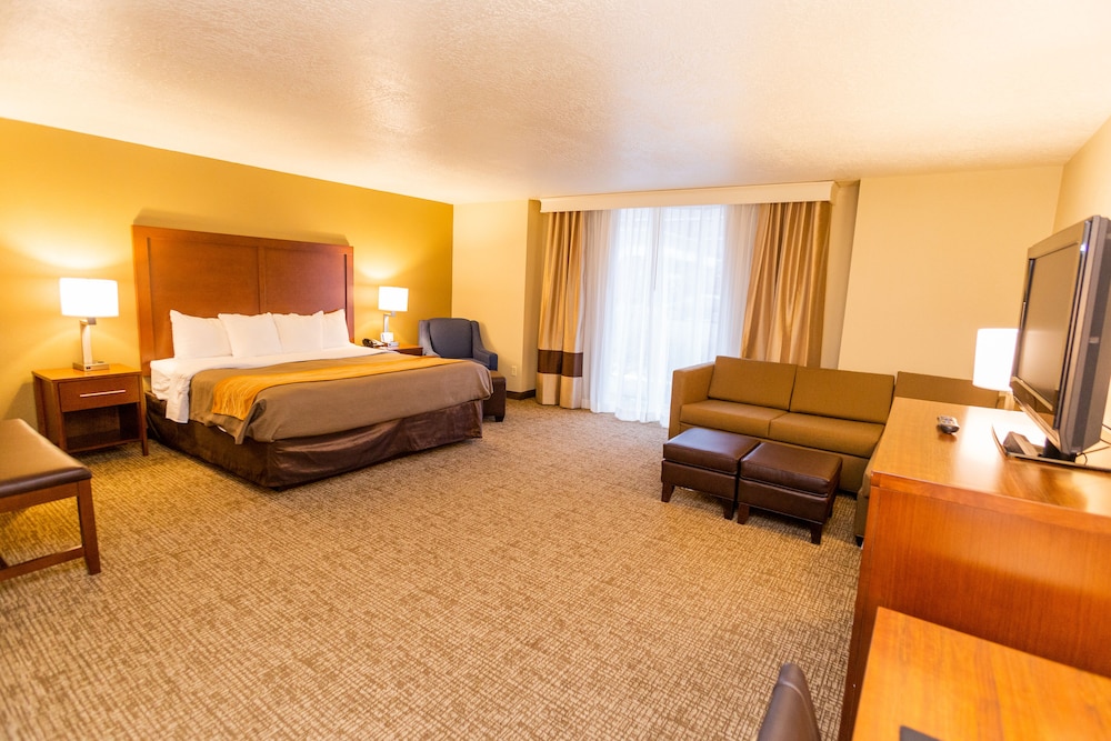 Comfort Inn Salt Lake City Downtown - photo 12