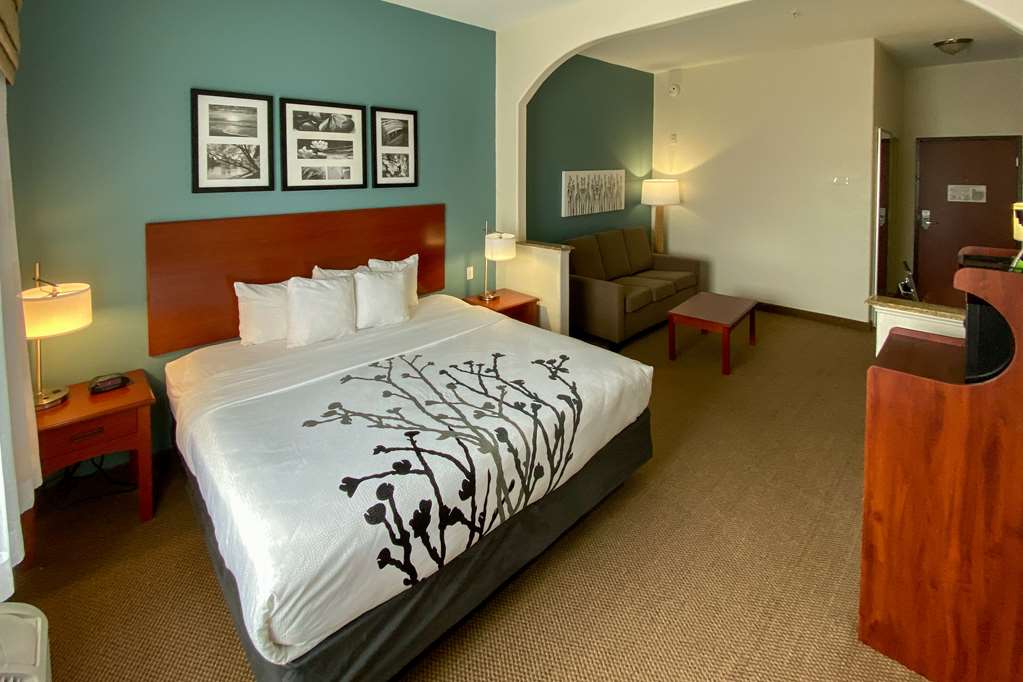 Sleep Inn And Suites Pearland Houston South - photo 10