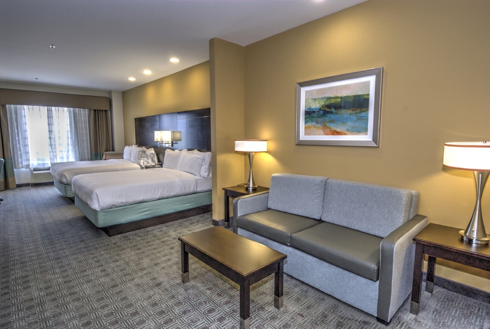 Holiday Inn Express & Suites Austin South by IHG - photo 25