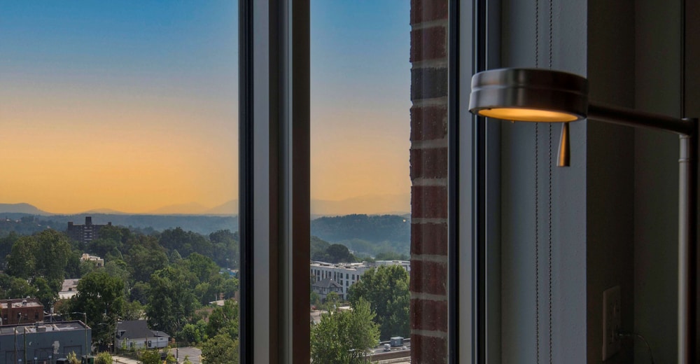 DoubleTree by Hilton Asheville Downtown - photo 41