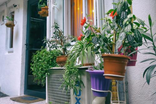 Apartment on Freedom Square Diuma Street