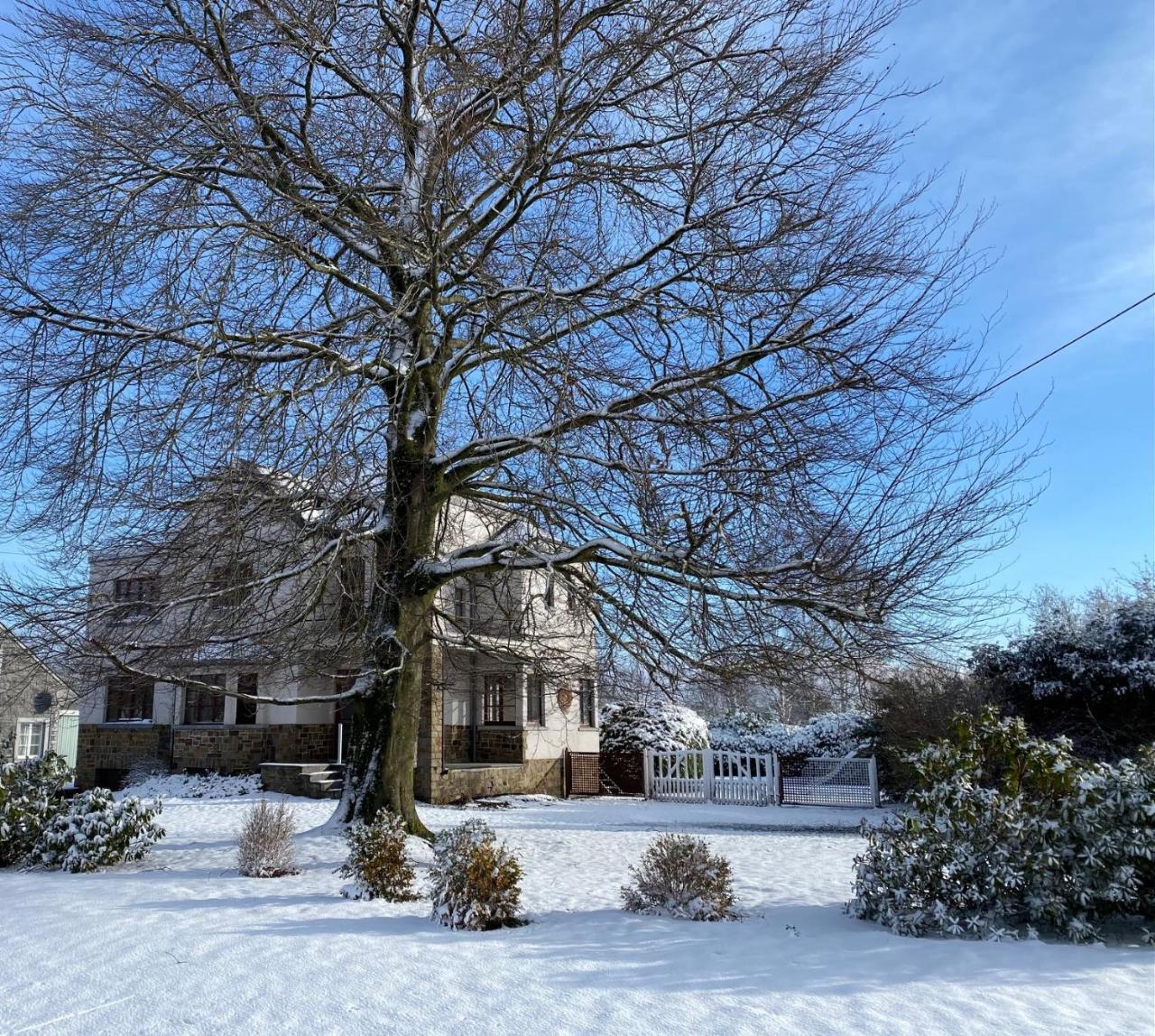 Le pas du loup in Houyet, Belgium