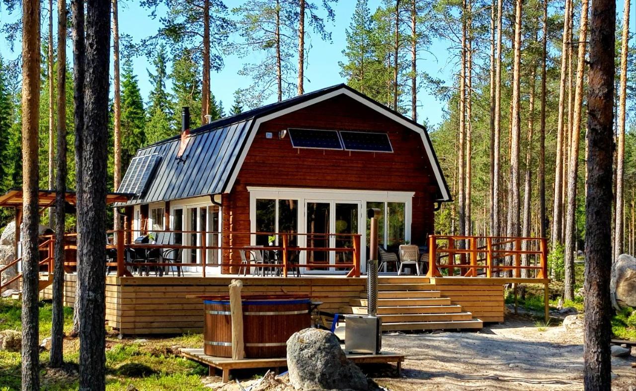Forrest Unikt Designat Hus Mitt I Skogen — Alfta