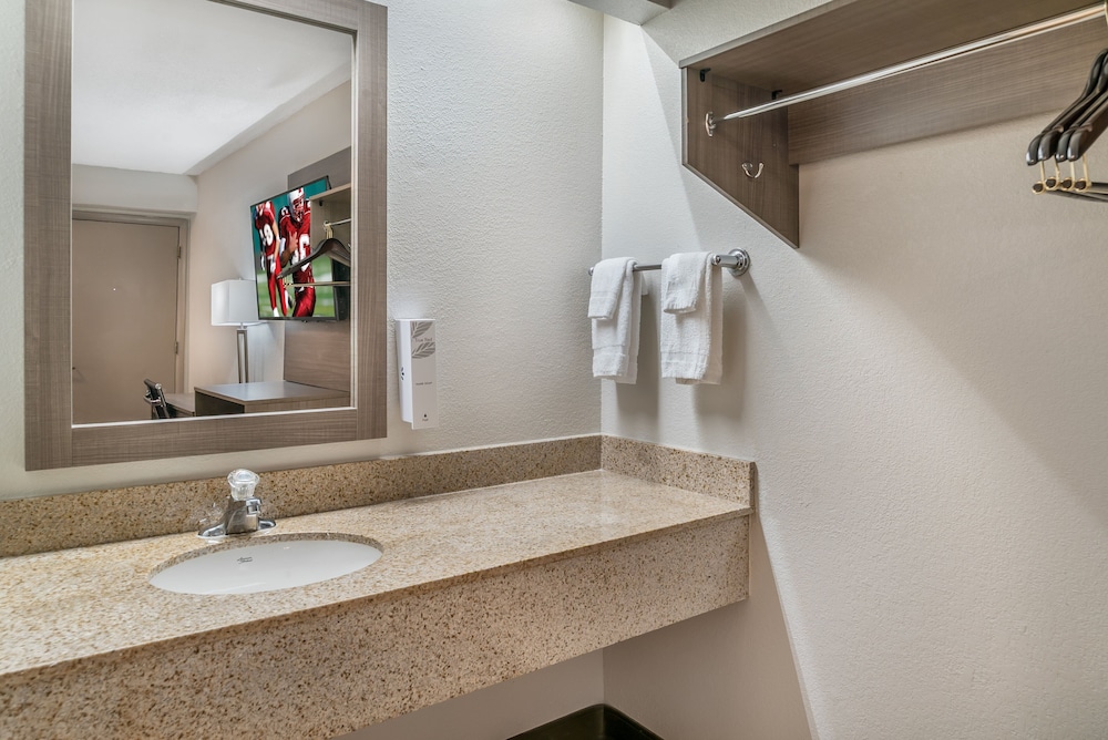Red Roof Inn Detroit Metro Airport Taylor - photo 30