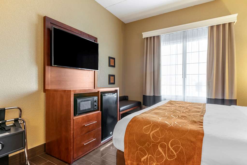 Comfort Suites Grand Rapids South - photo 22