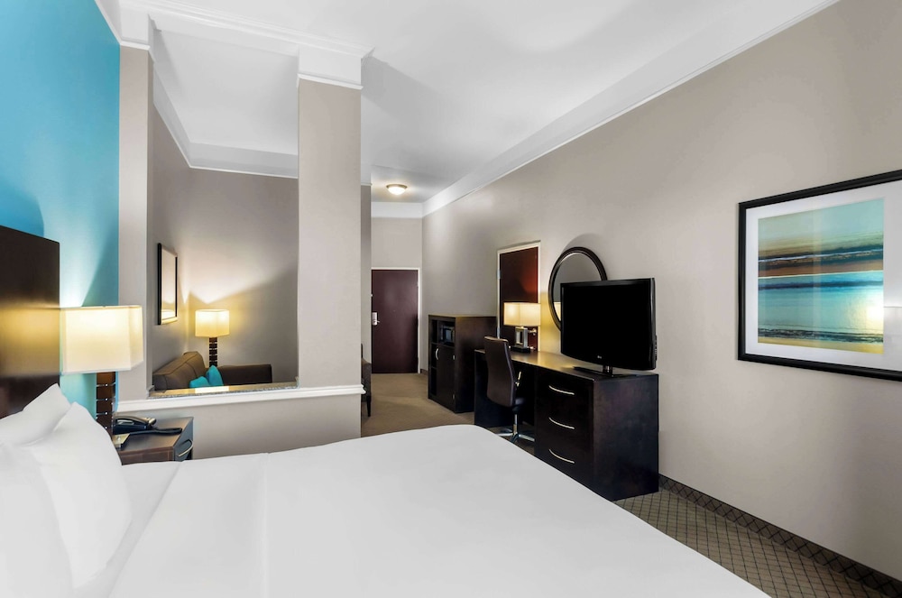 Comfort Suites at Katy Mills - photo 23