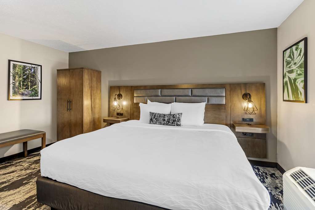 Best Western Plus Bourbonnais Hotel & Suites - photo 19