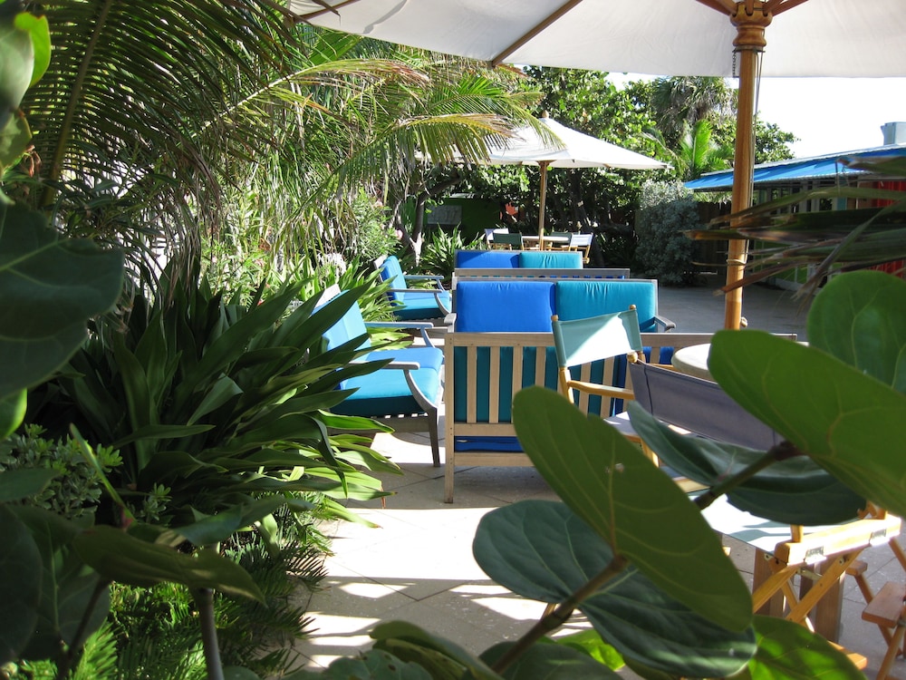 Colony Hotel & Cabaña Club - photo 22