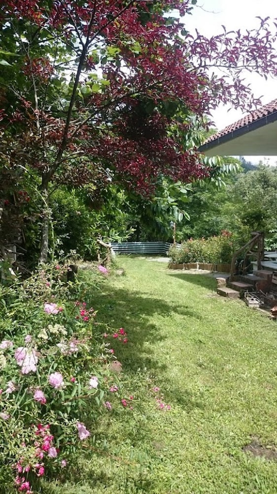 Sea Levanto and Cinque Terre Calm Cool Freedom for Children and pet Parking — hotel in Carrodano