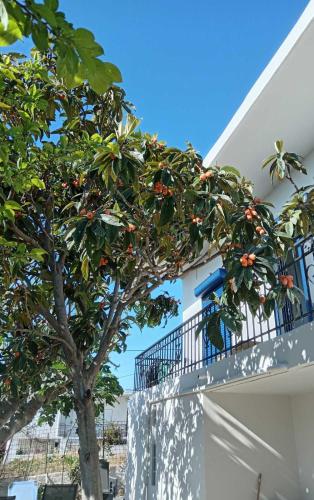 Seaview Vravrona in Artemida, Greece