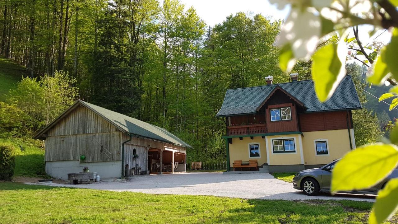 Ferienhaus Schlossblick — hotel in Landl