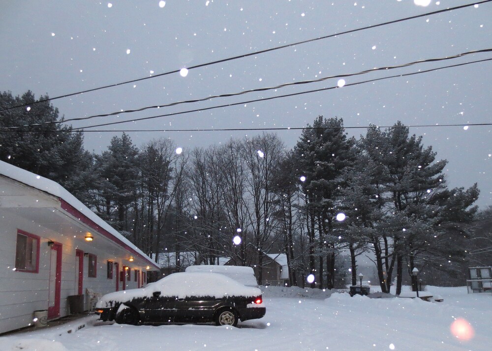 Four Seasons Motel - photo 15