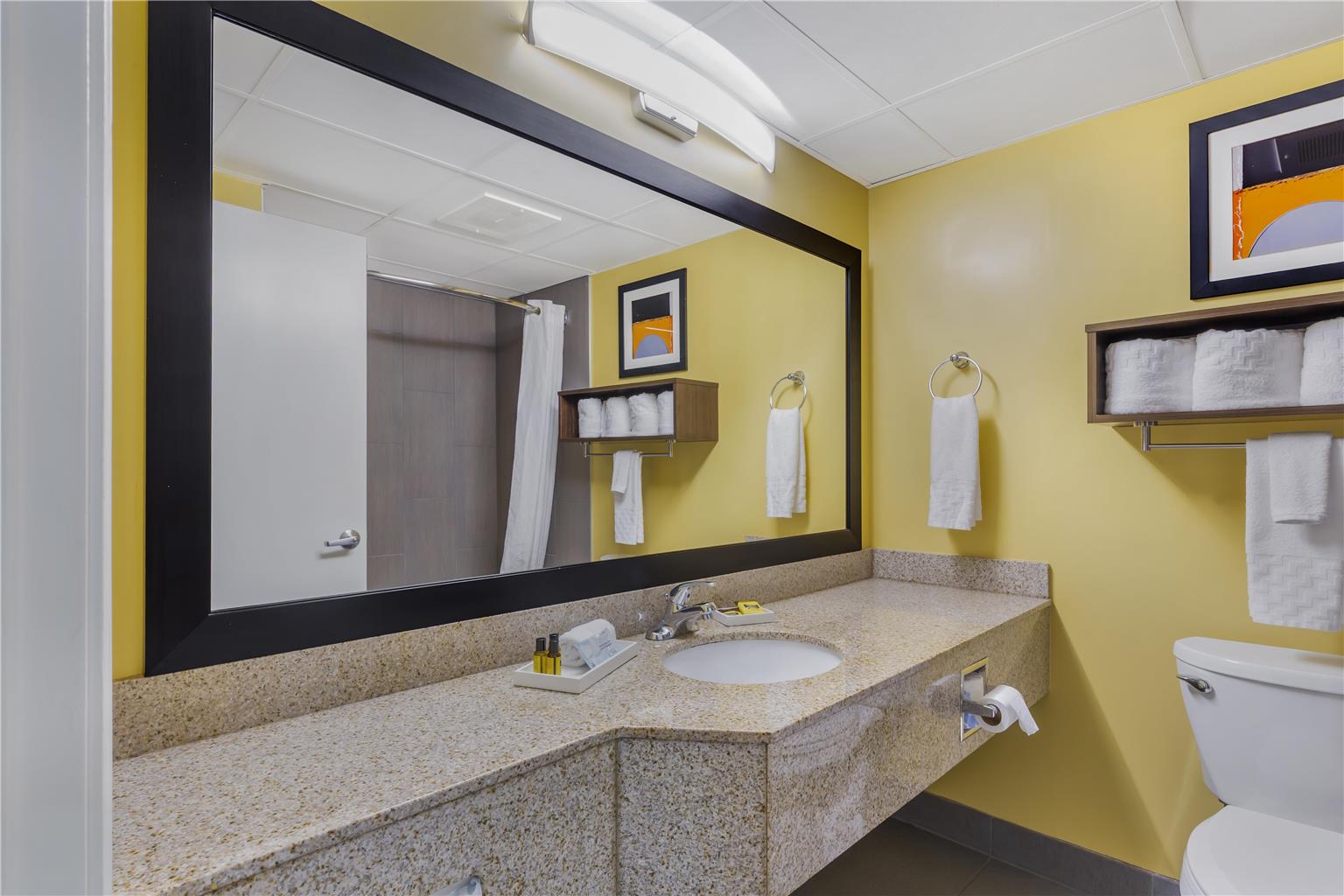 Best Western Plus Suites Greenville - photo 24