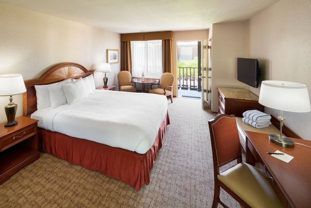 Roman Spa Hot Springs Resort - photo 5