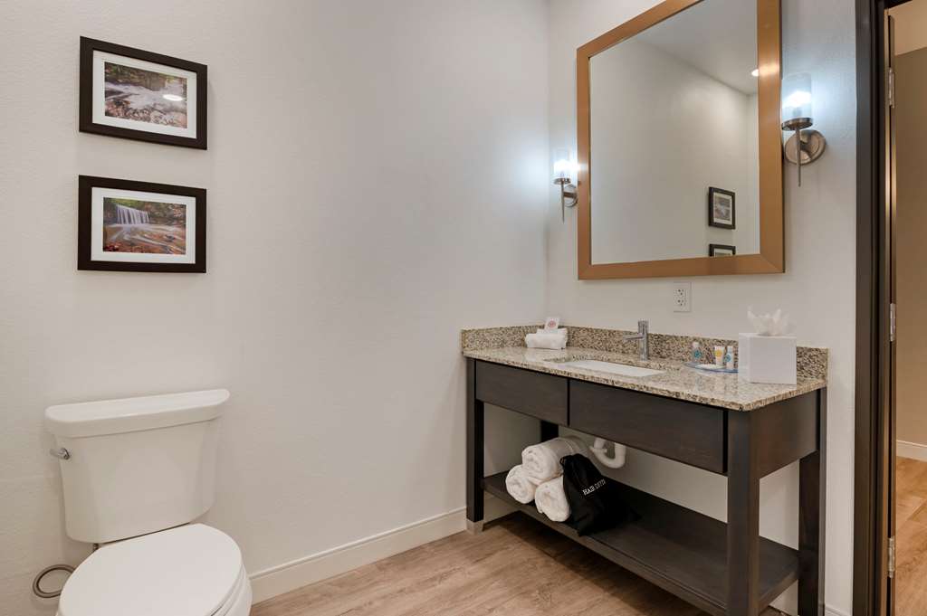 Comfort Suites Cincinnati University Downtown - photo 20