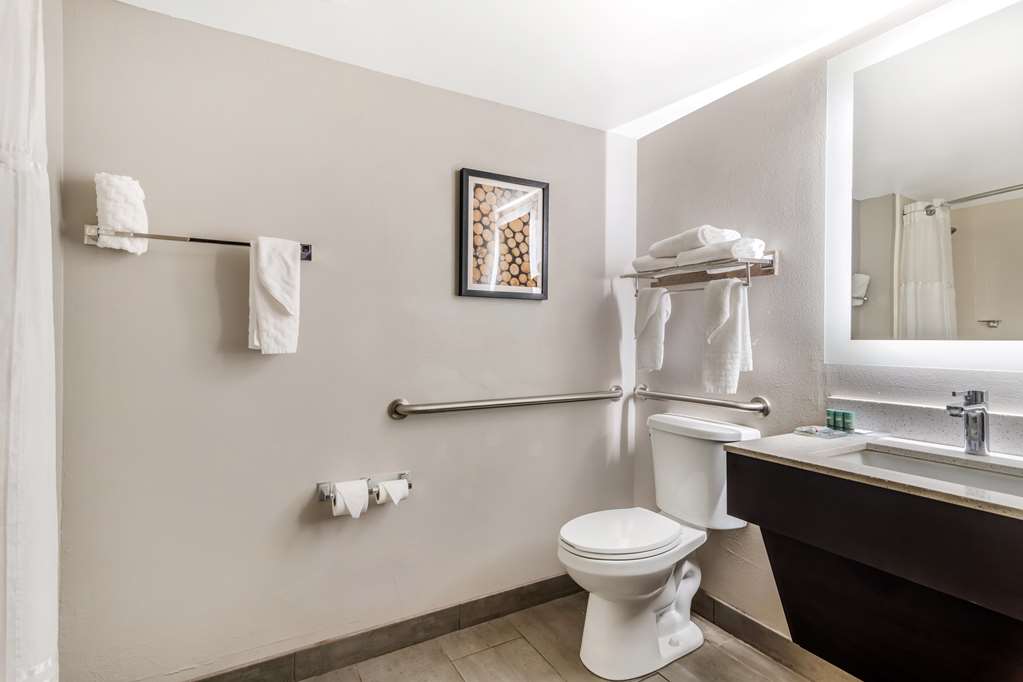 Best Western Atlanta Marietta Ballpark Hotel - photo 23