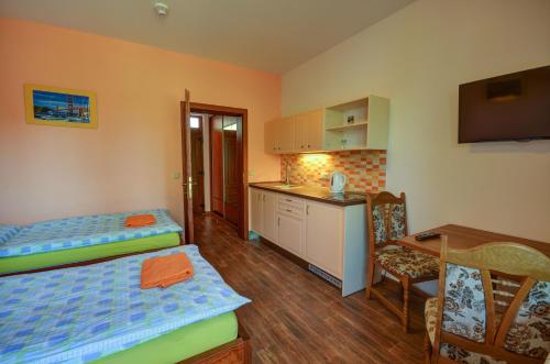 Apartmány Stříbrňák — Hradec Kralove — photo 4