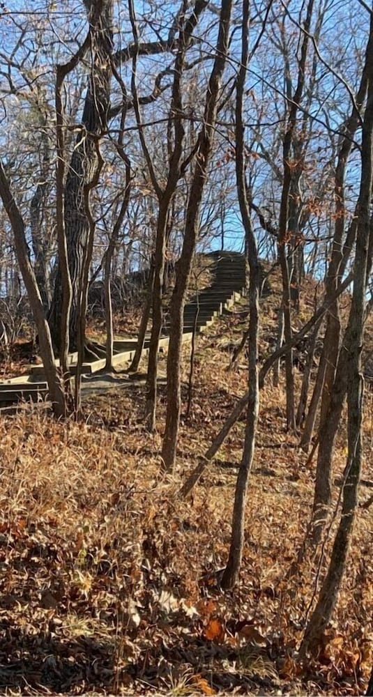 Little Bluff Inn - photo 32