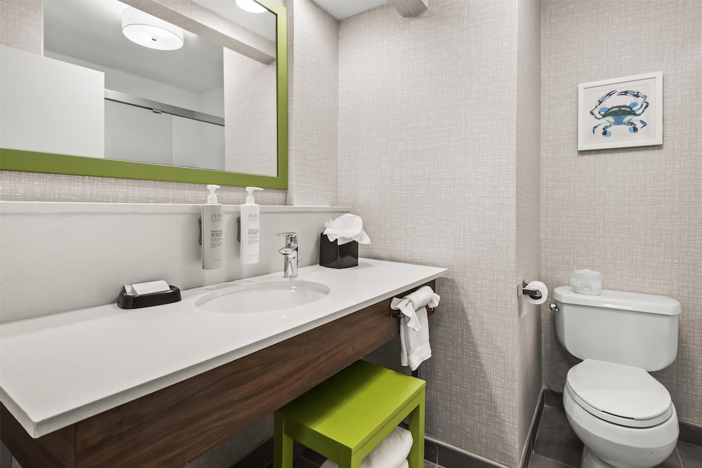 Hampton Inn Elkton - photo 20