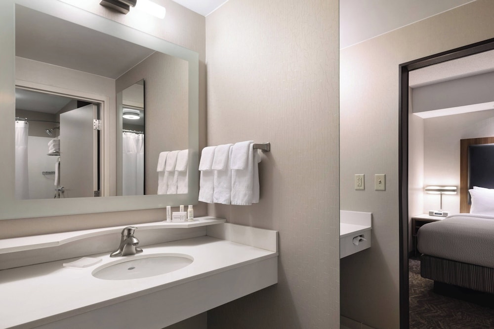 Springhill Suites by Marriott Syracuse Carrier Circle - photo 9