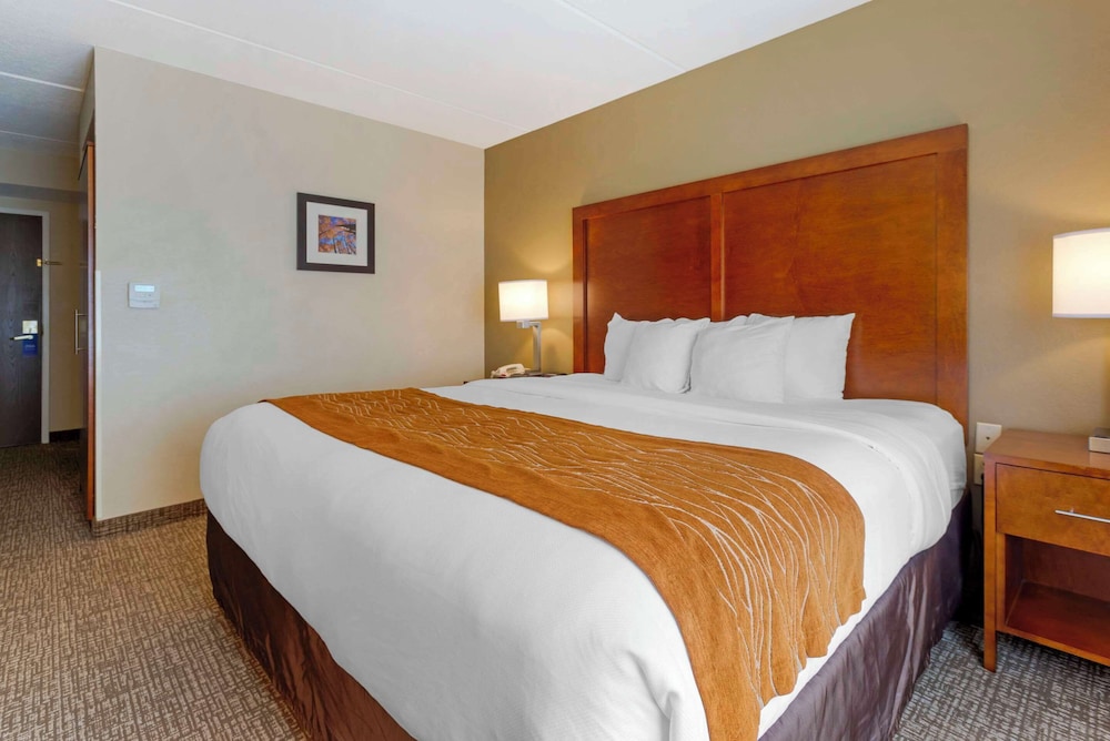 Comfort Inn & Suites Wilkes Barre Arena - photo 14