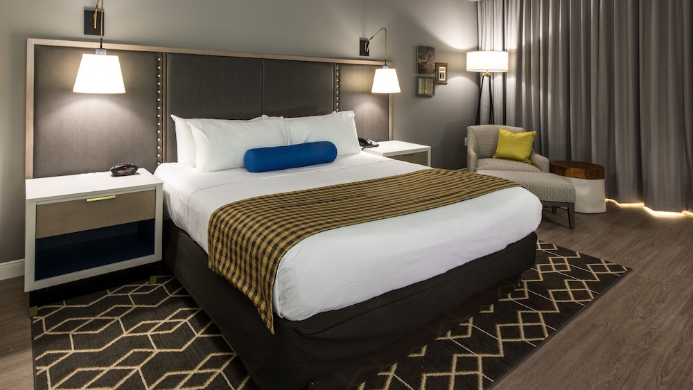 Hotel Indigo Hattiesburg by IHG - photo 9