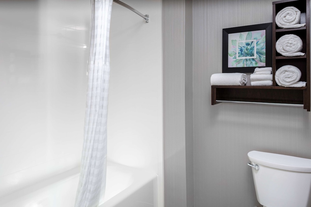 Homewood Suites by Hilton Phoenix Airport South - photo 15