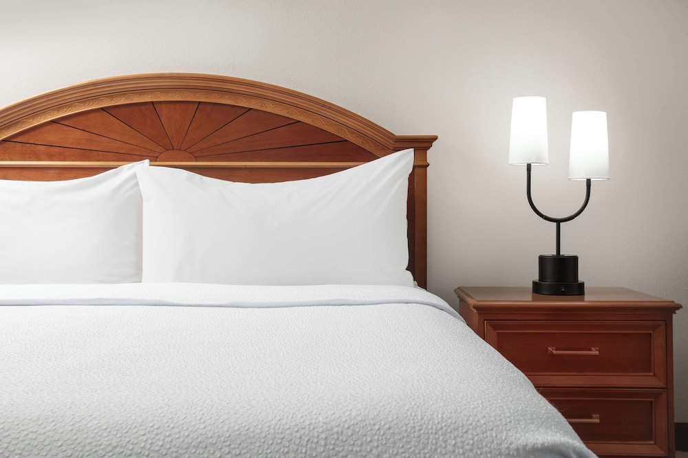Hilton Garden Inn Gainesville - photo 15