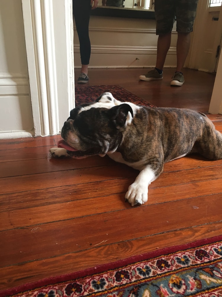 Justine Inn Savannah - photo 27