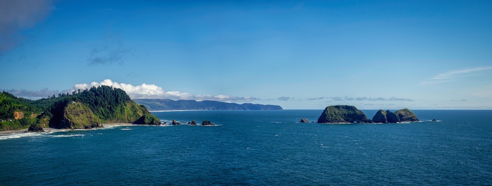 The Hotel Garibaldi - photo 25