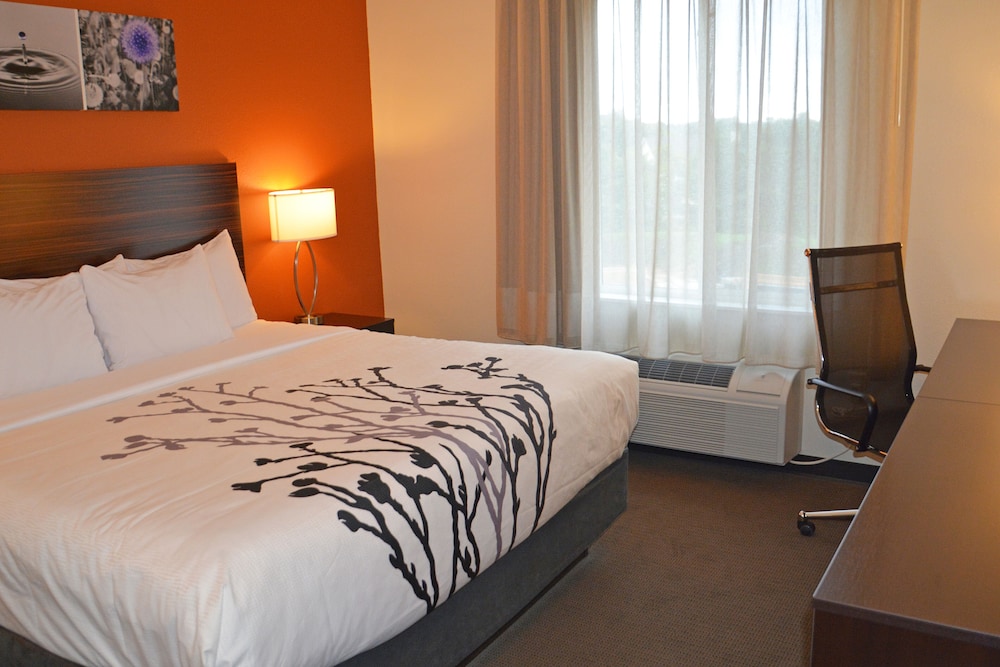 Sleep Inn & Suites Oregon Madison - photo 4