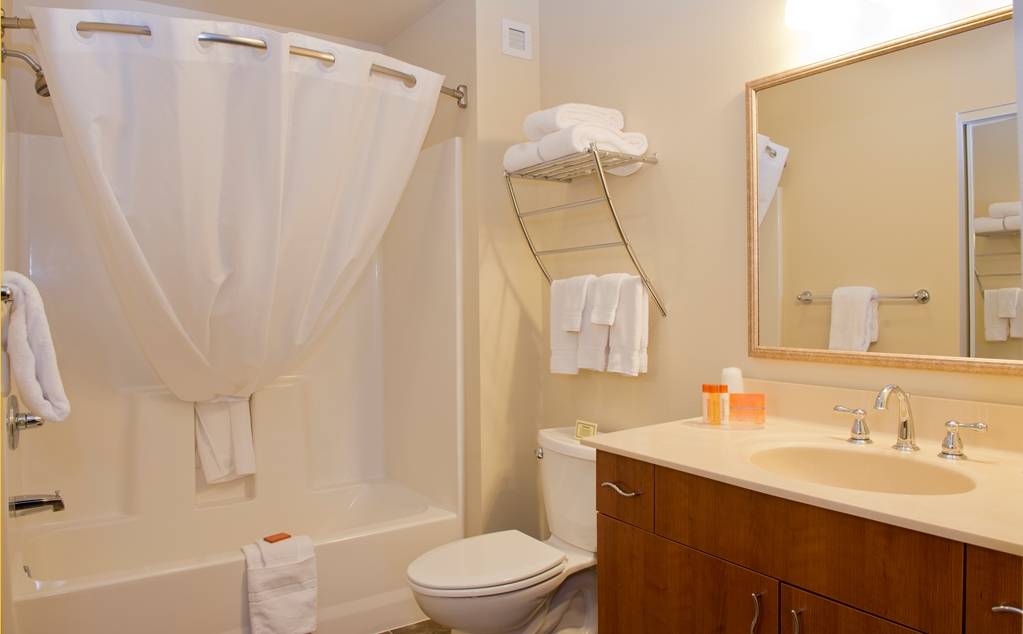 Ledgestone Suites Hotel Elko - photo 10