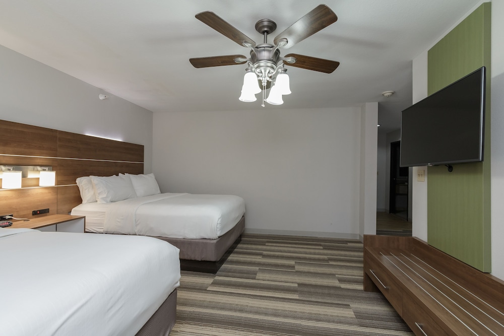 Holiday Inn Express Hotel & Suites South Bend by IHG - photo 27
