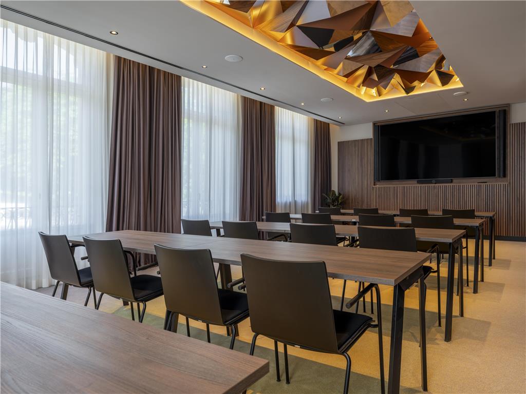 ICONS EHBB Conference MeetingRoom