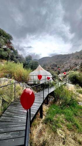 Paradise Ranch Inn Lucky Tent - photo 20