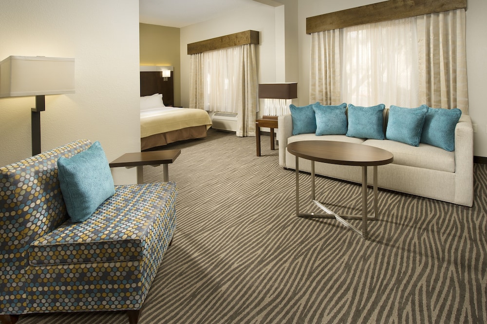 Holiday Inn El Paso Airport by IHG - photo 14