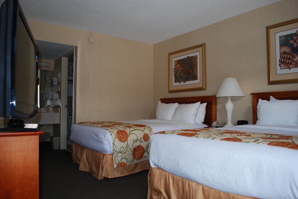 Durango Downtown Inn - photo 6