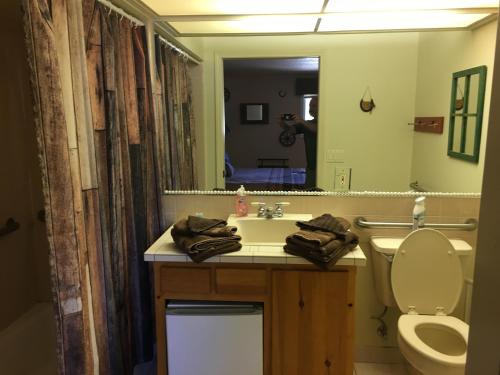 Apple Orchard Inn - photo 21
