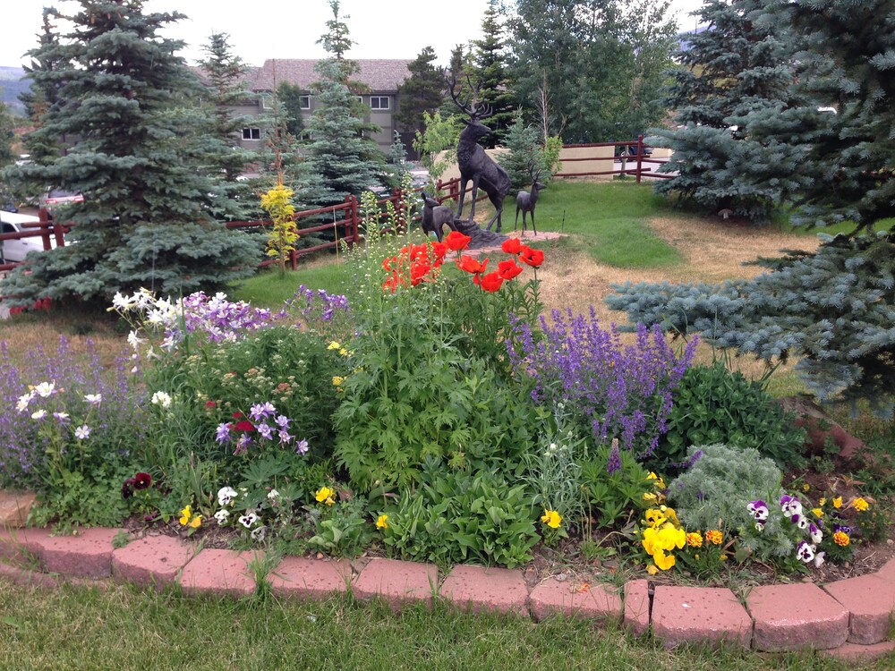Dillon Inn - photo 16