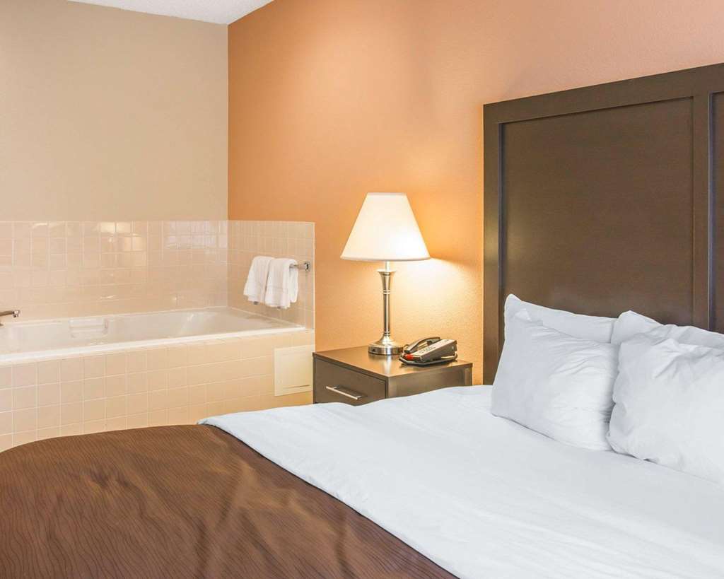 Quality Inn & Suites Niles - photo 52