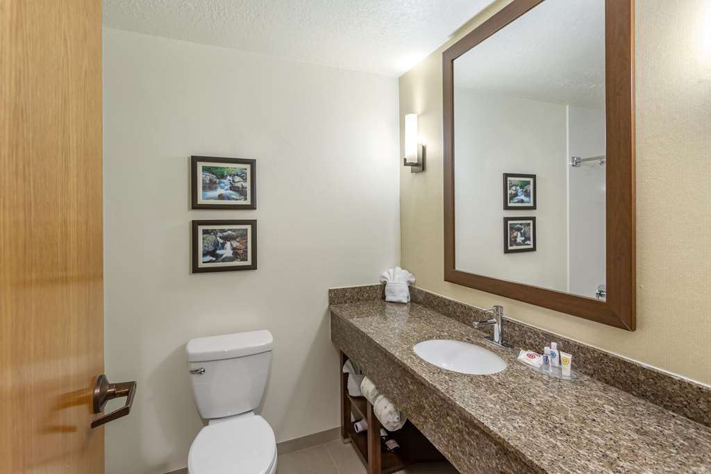 Comfort Suites Ogden Conference Center - photo 33