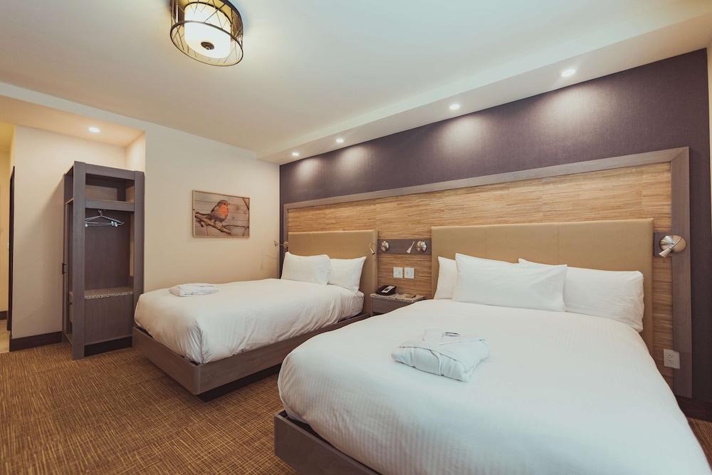 Tailwater Lodge Altmar Tapestry Collection by Hilton - photo 14