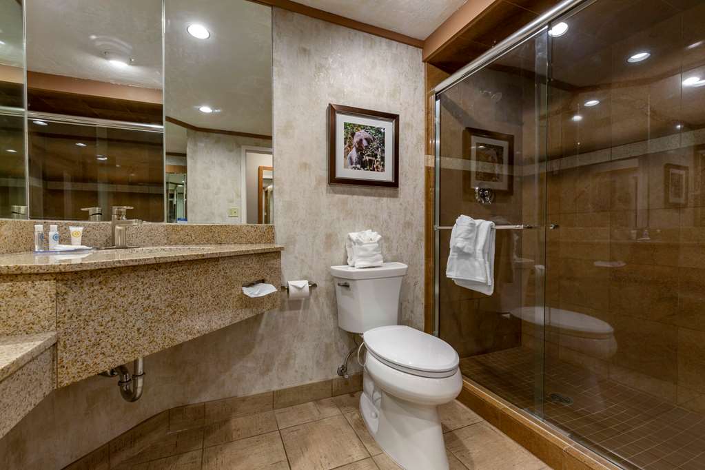 Comfort Inn Missoula North Shopping District - photo 22
