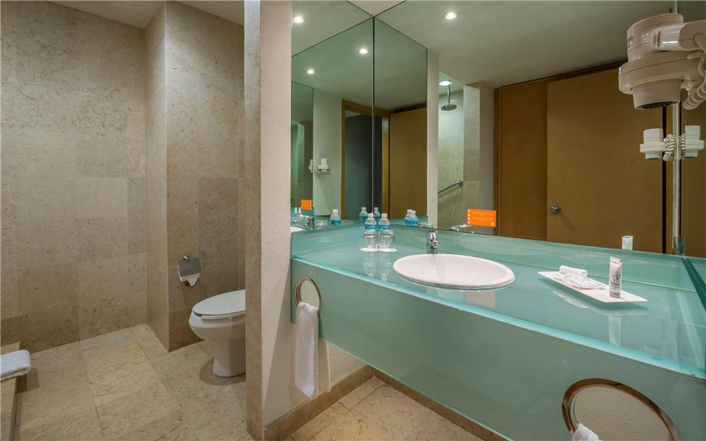 Deluxe room bathroom