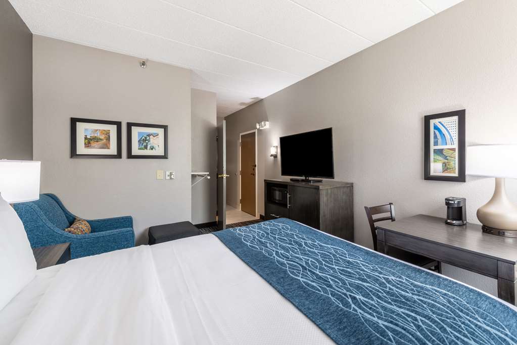 Comfort Inn Chicago Schaumburg O'Hare Airport - photo 8