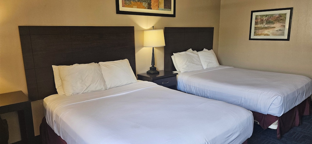 Bellis Inn - photo 19